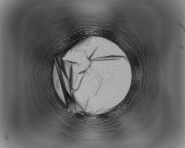 X0000097780513200804041217