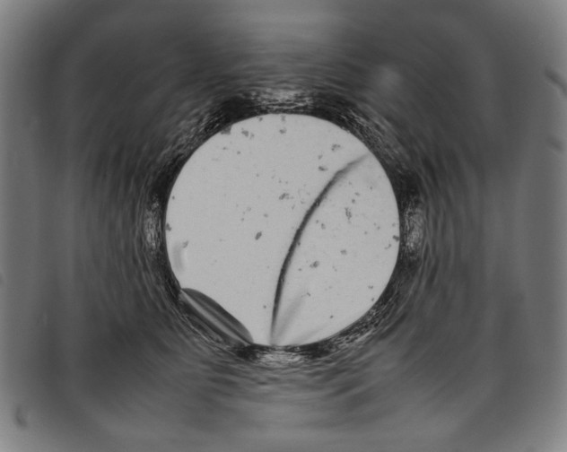 X0000097780515200804041217