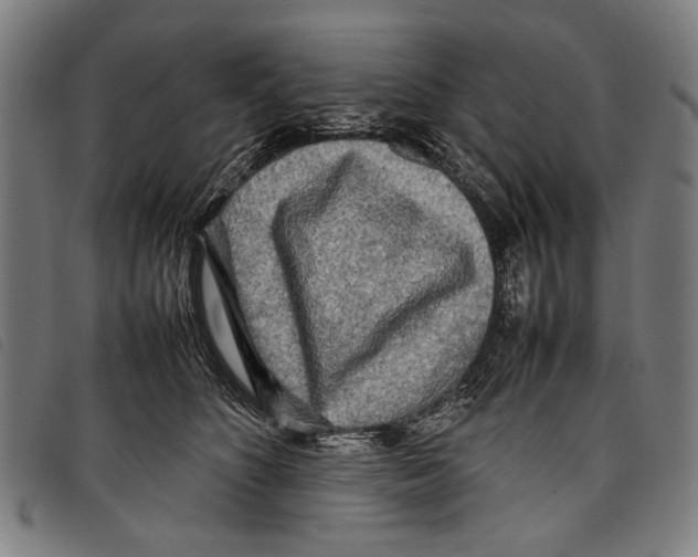 X0000097780516200804041217