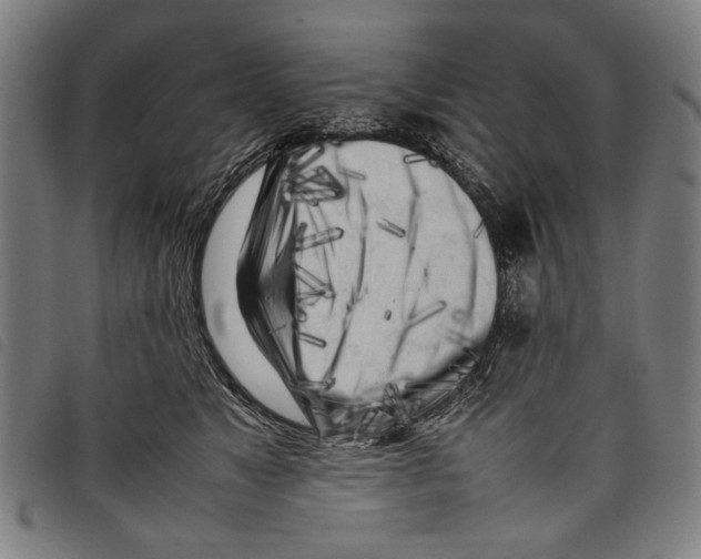 X0000097780517200804041217