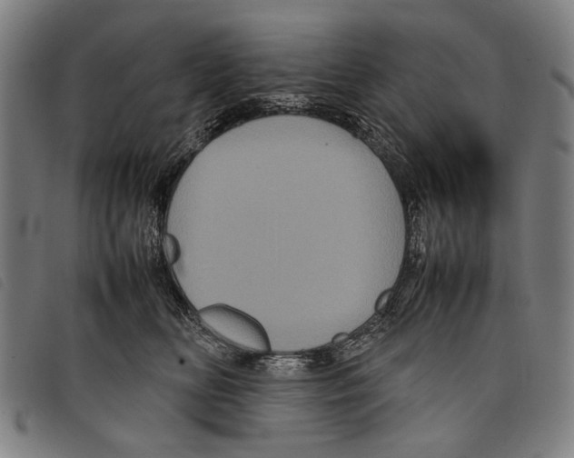 X0000097780518200804041217