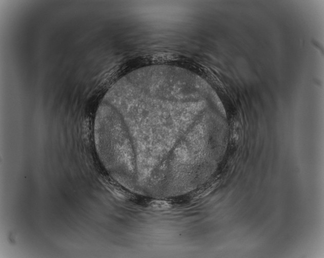 X0000097780519200804041217