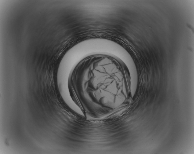 X0000097780520200804041217