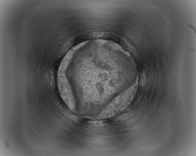 X0000097780524200804041216