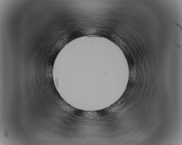 X0000097780525200804041216