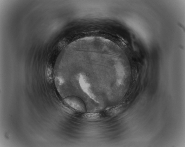 X0000097780526200804041216