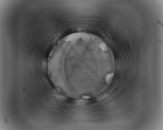 X0000097780527200804041216