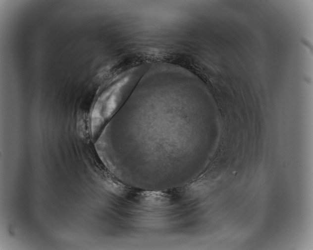 X0000097780528200804041216