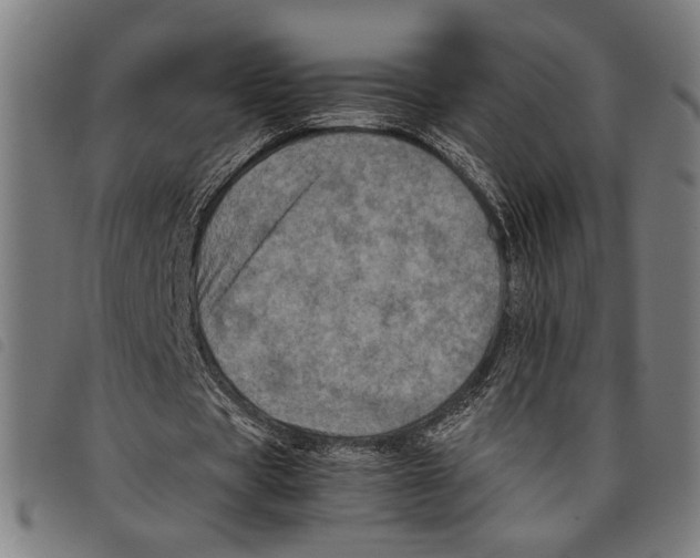 X0000097780529200804041216