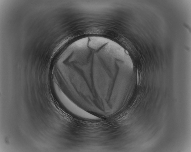 X0000097780531200804041216