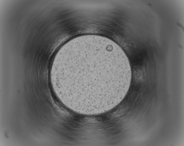 X0000097780534200804041216