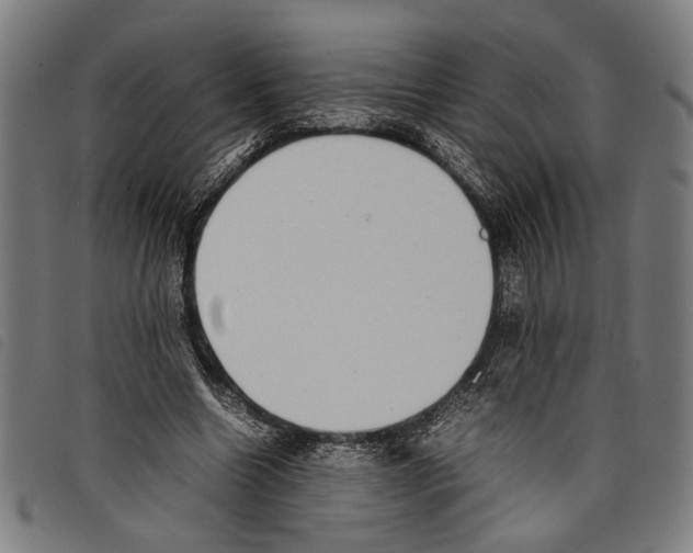 X0000097780538200804041216