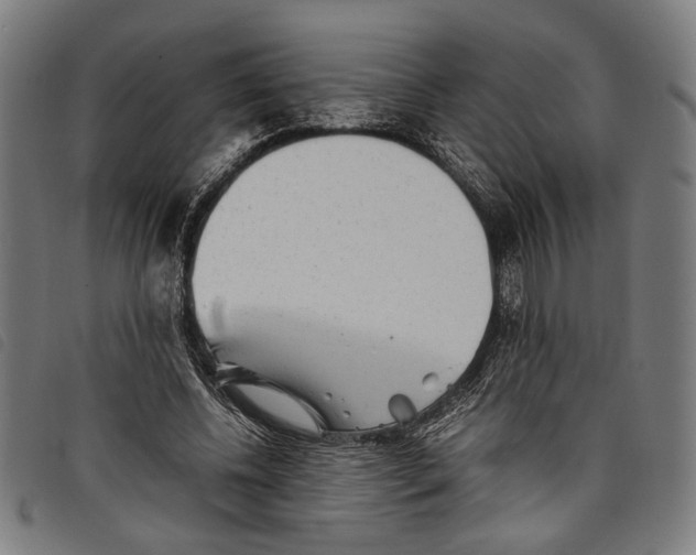 X0000097780540200804041216