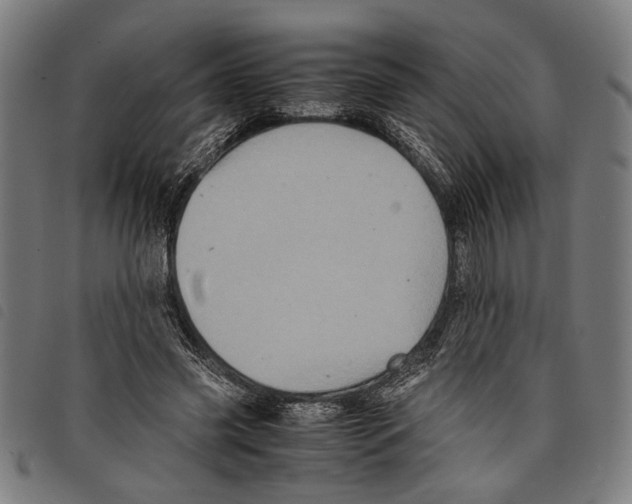 X0000097780541200804041216