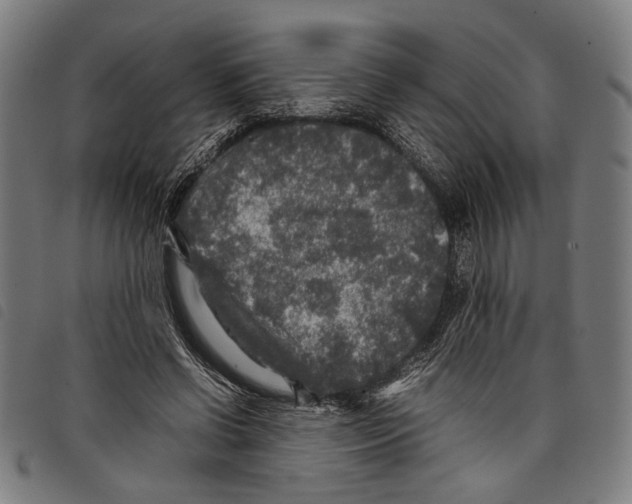 X0000097780542200804041216