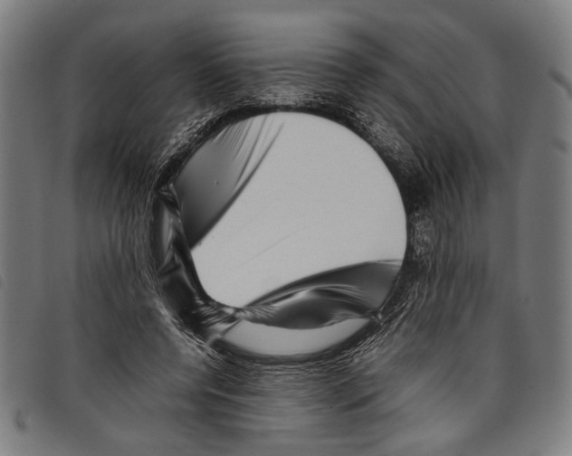 X0000097780544200804041216