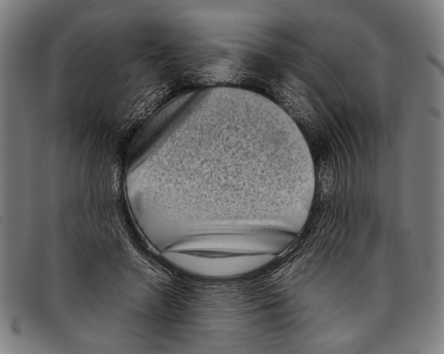 X0000097780546200804041216