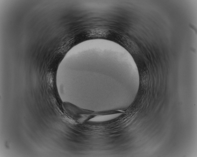 X0000097780551200804041216