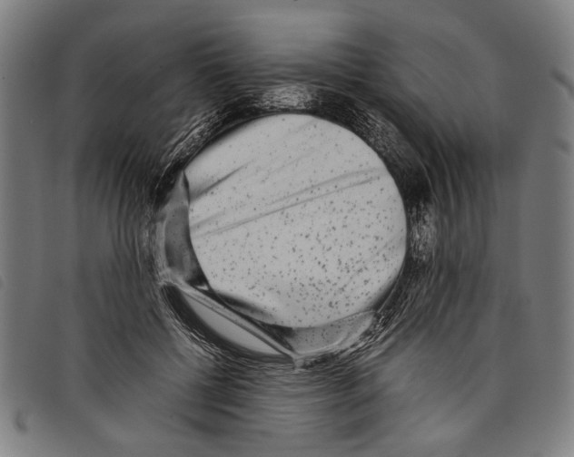 X0000097780552200804041216