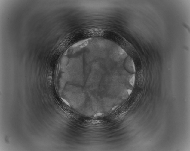 X0000097780553200804041216