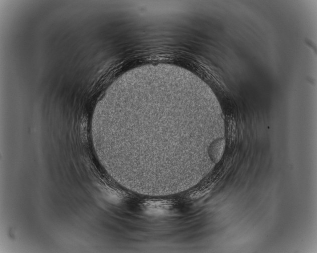 X0000097780557200804041216