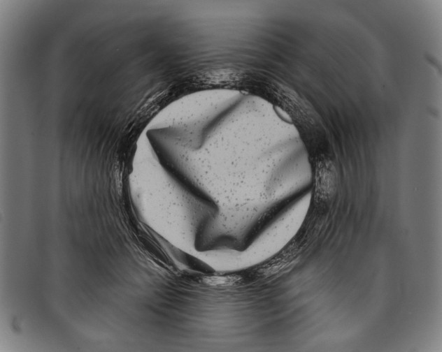 X0000097780558200804041216