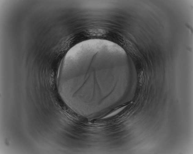 X0000097780559200804041216