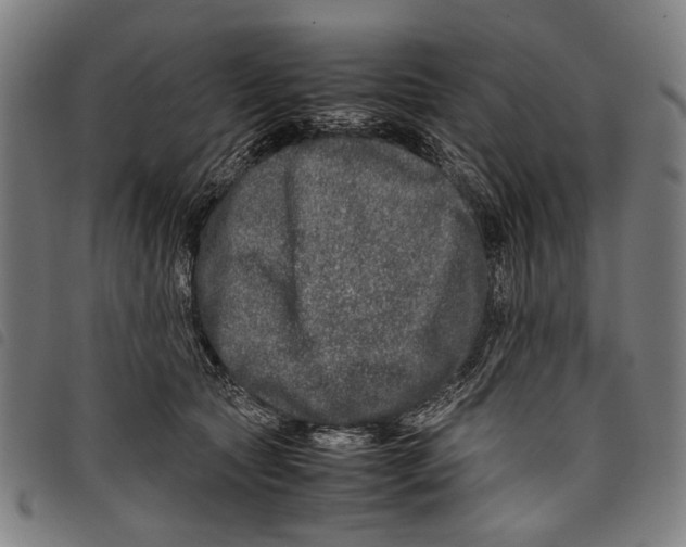 X0000097780561200804041216