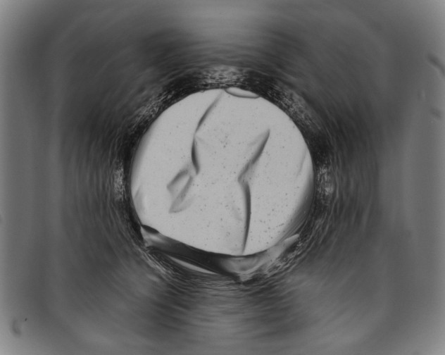 X0000097780564200804041216