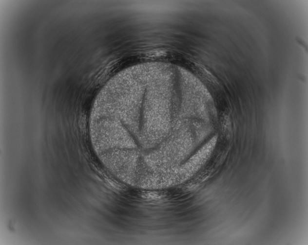 X0000097780565200804041216