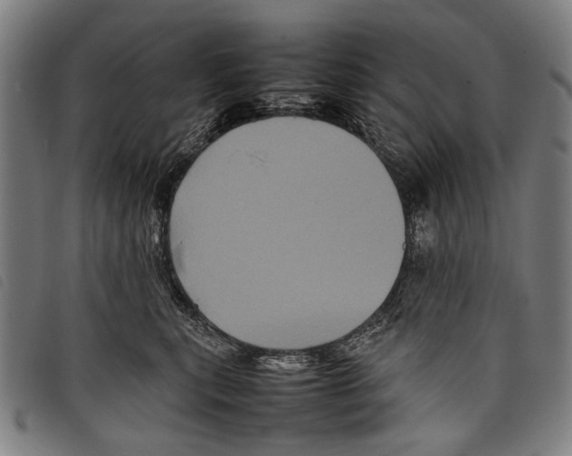 X0000097780567200804041216