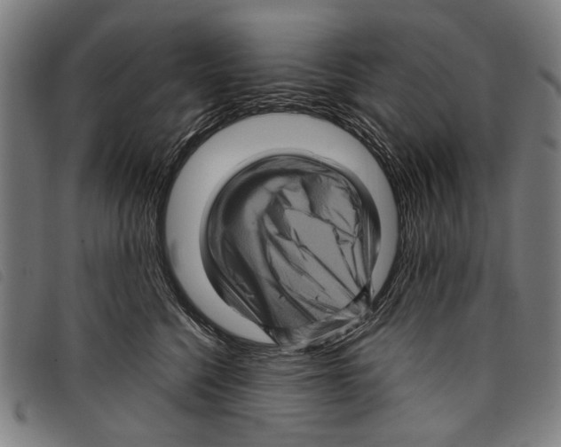 X0000097780568200804041216