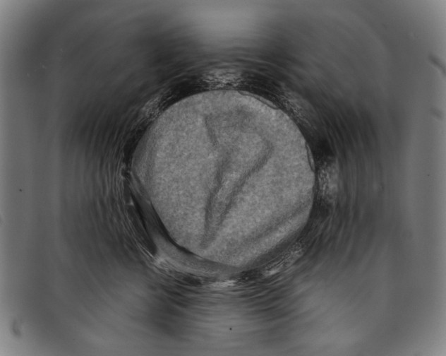 X0000097780570200804041216