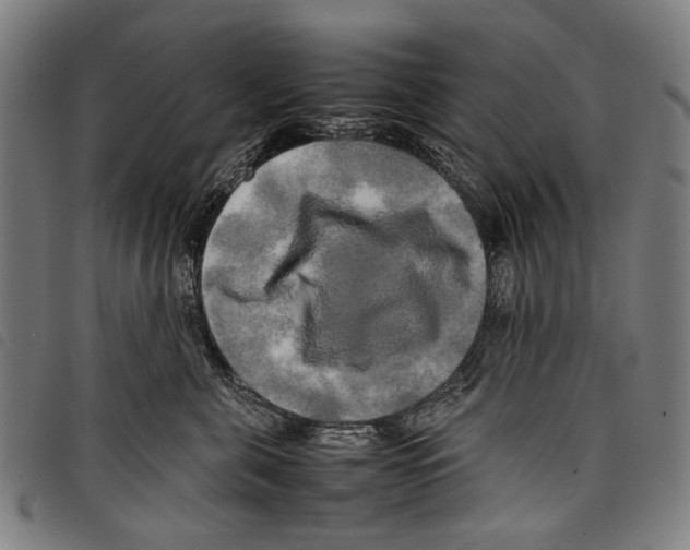 X0000097780571200804041216