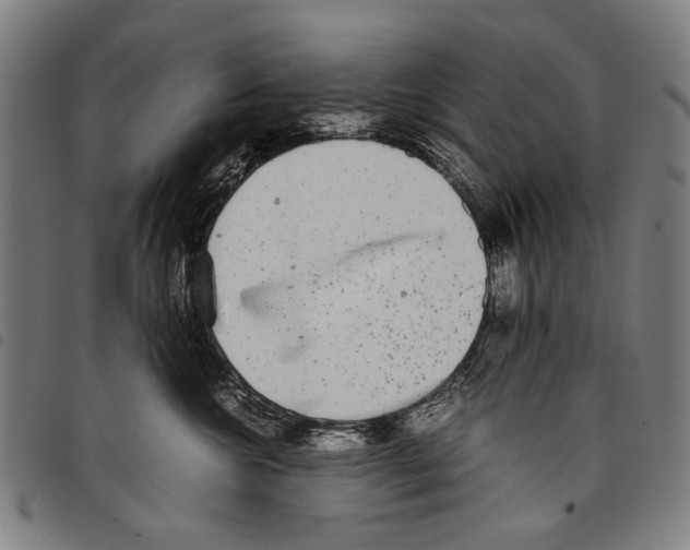 X0000097780572200804041216