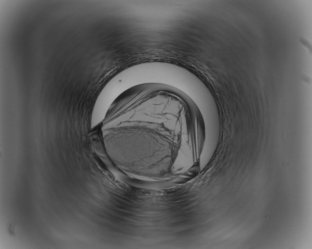 X0000097780576200804041216