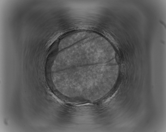 X0000097780577200804041216