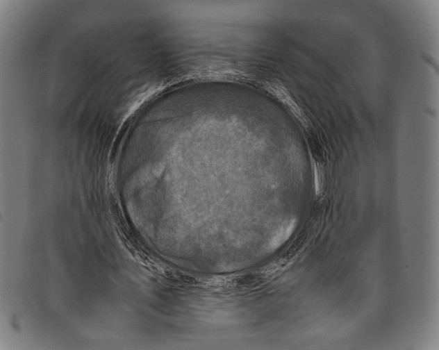 X0000097780579200804041216