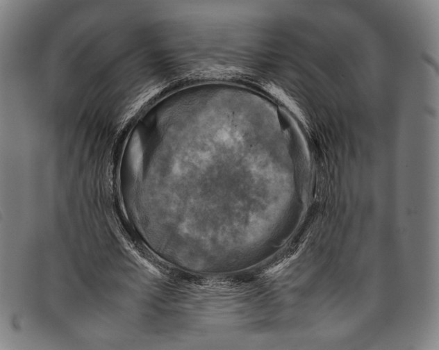 X0000097780581200804041216