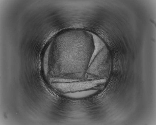 X0000097780584200804041216