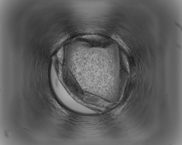 X0000097780585200804041216