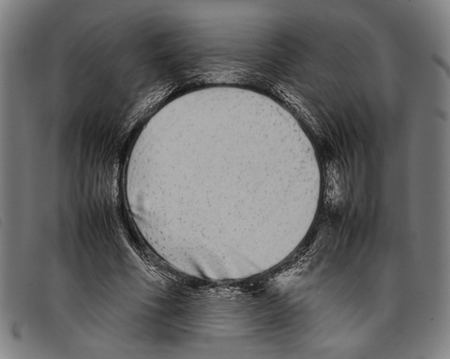 X0000097780586200804041216