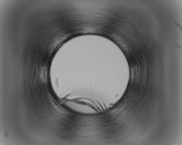 X0000097780588200804041216