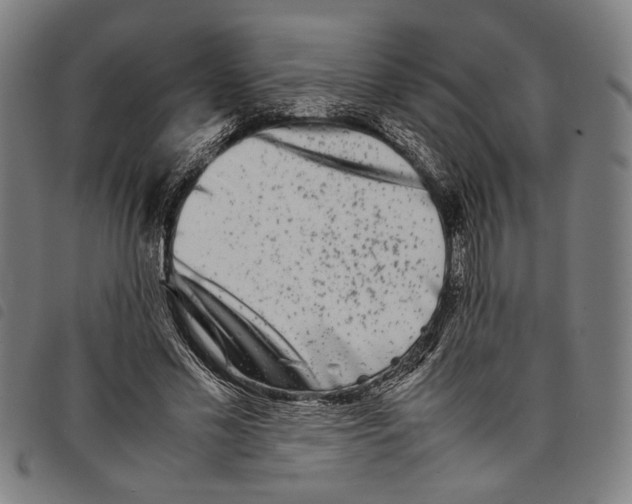 X0000097780589200804041216