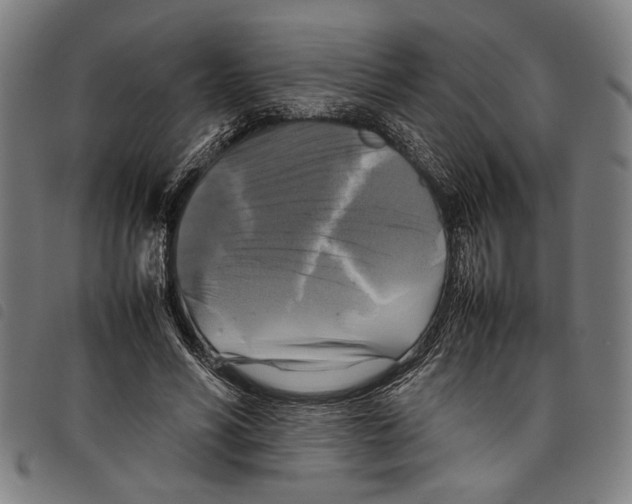 X0000097780590200804041216