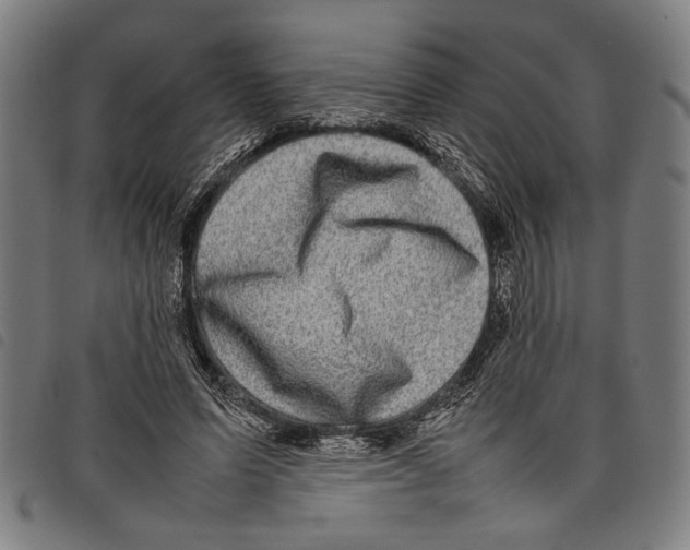 X0000097780591200804041216