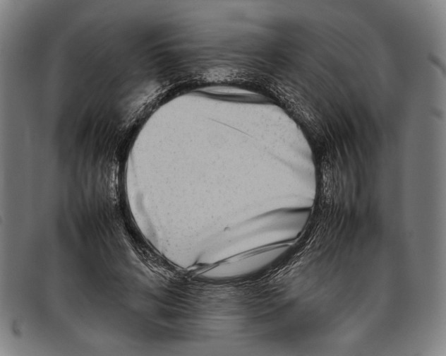 X0000097780592200804041216