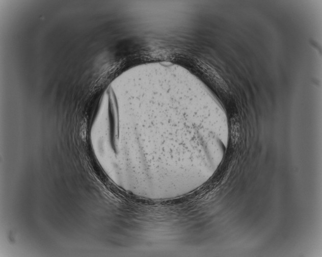 X0000097780593200804041216