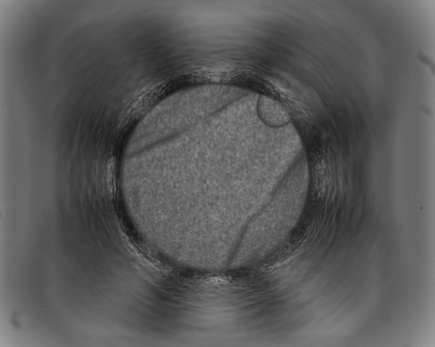 X0000097780594200804041215