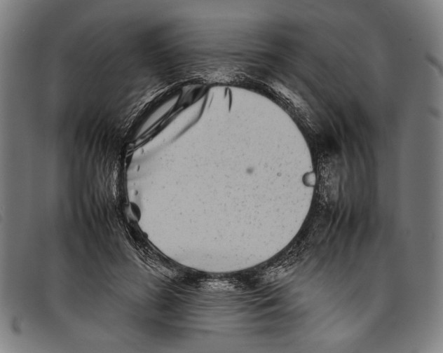 X0000097780596200804041215